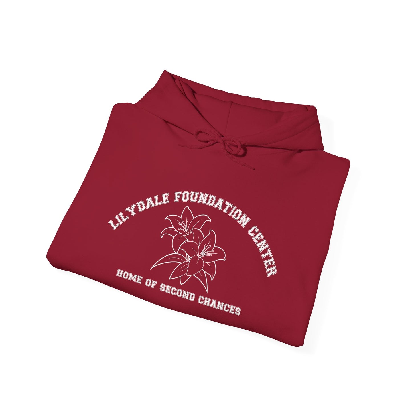 Lilydale Foundation Center, Home of Second Chances Hoodie