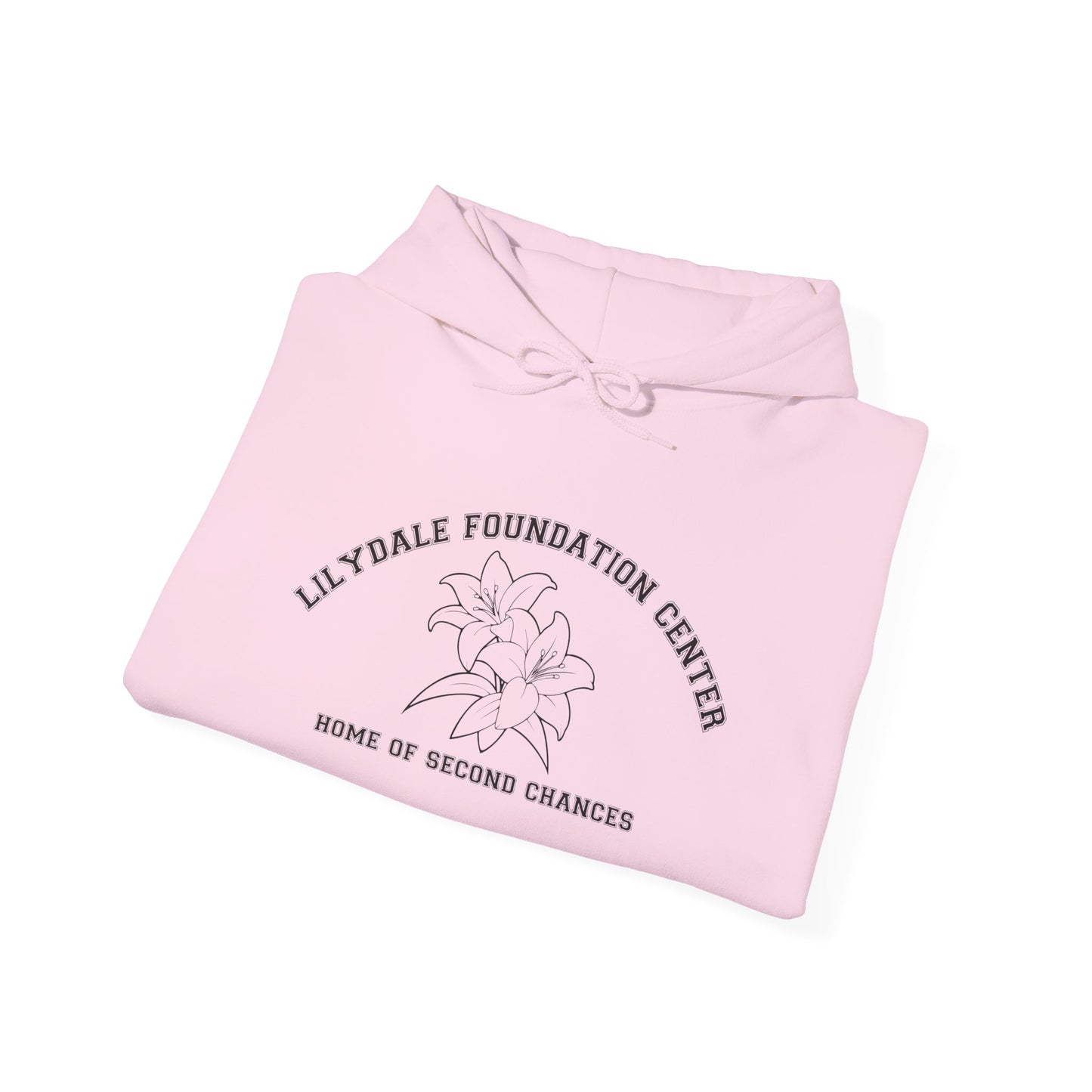 Lilydale Foundation Center, Home of Second Chances Hoodie