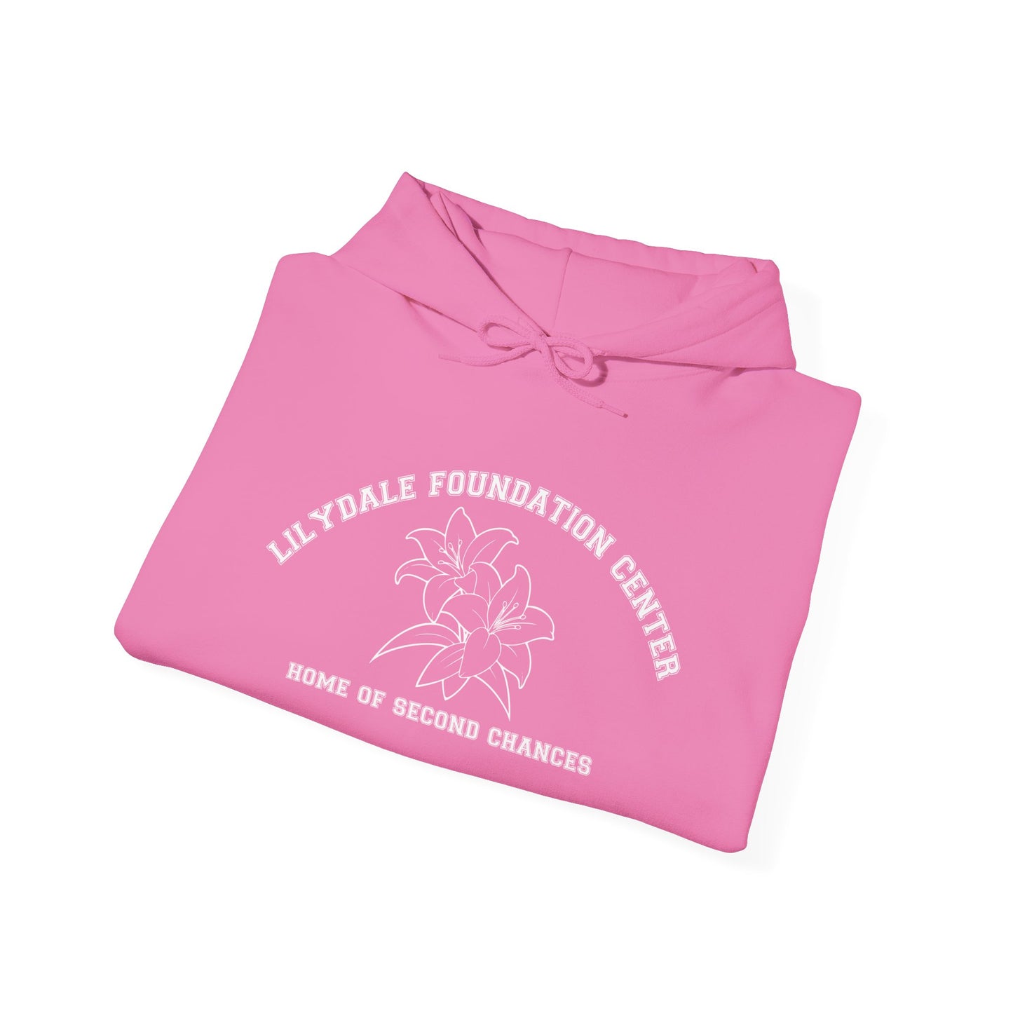 Lilydale Foundation Center, Home of Second Chances Hoodie