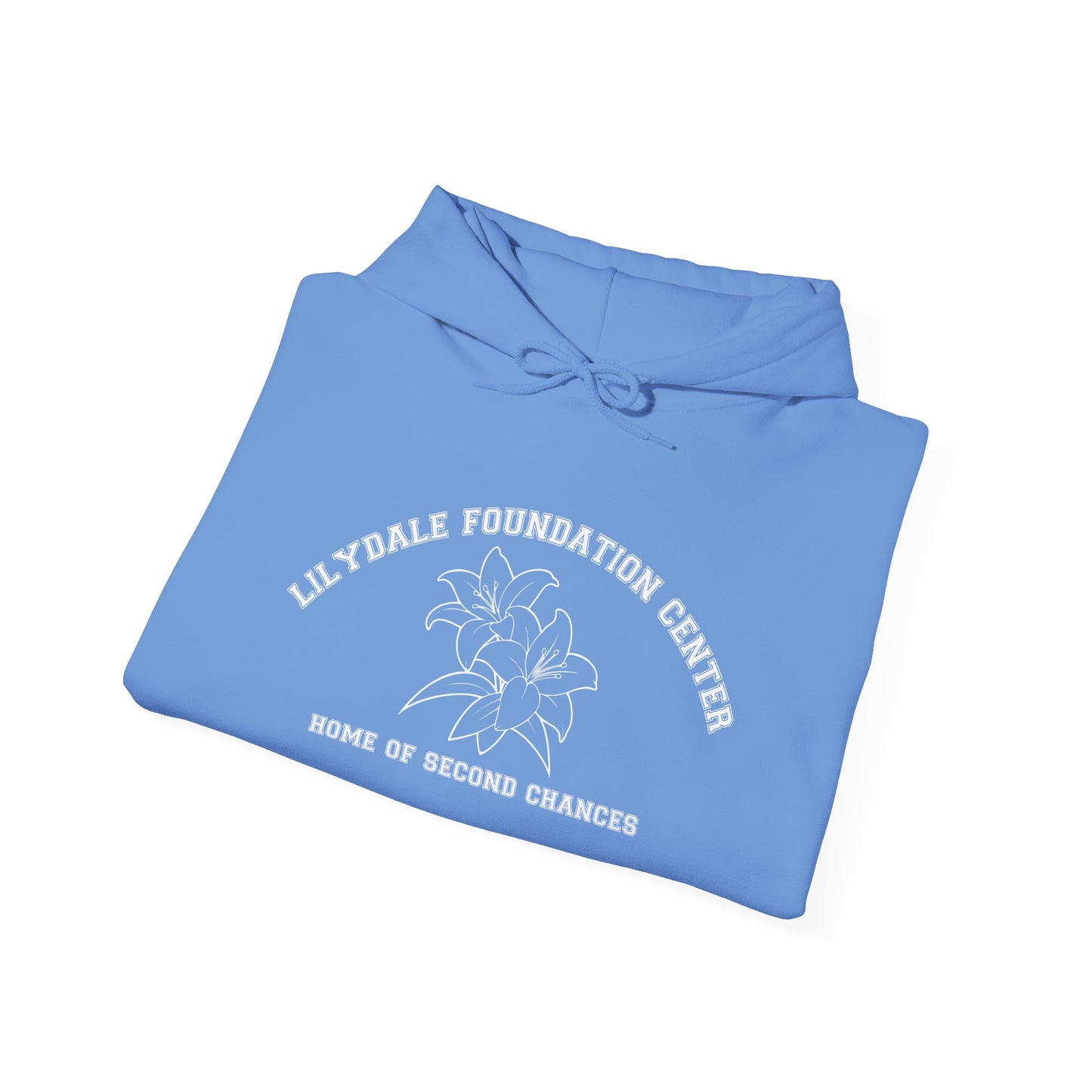 Lilydale Foundation Center, Home of Second Chances Hoodie