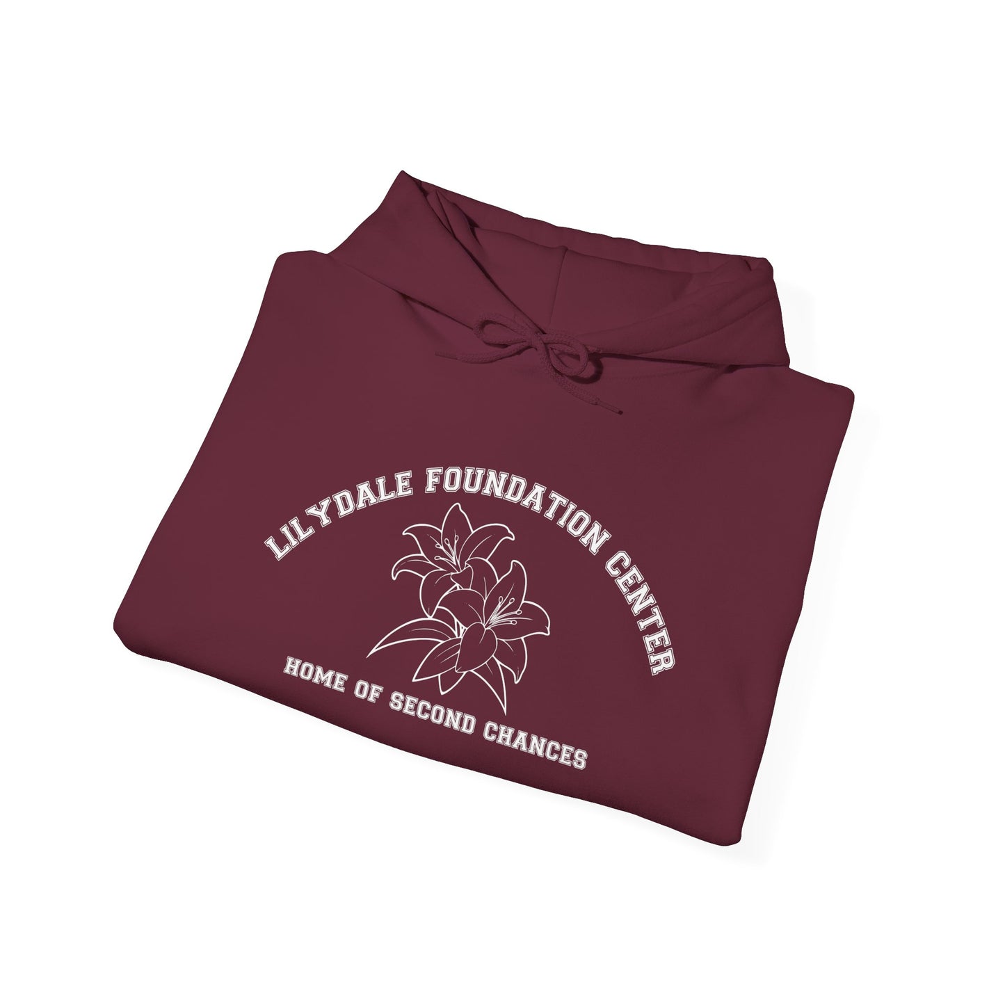 Lilydale Foundation Center, Home of Second Chances Hoodie
